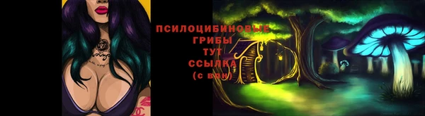 ГАЛЛЮЦИНОГЕННЫЕ ГРИБЫ Каменск-Шахтинский