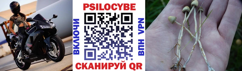 Купить закладки  Грязовец  Галлюциногенные грибы прущие грибы 
